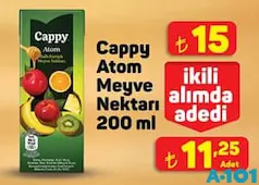 CAPPY ATOM MEYVE NEKTARI MEYVE SUYU 200 ML